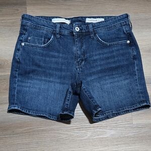 Pilcro and the Letterpress Boyfriend Slim Women's Denim Shorts Size 31
